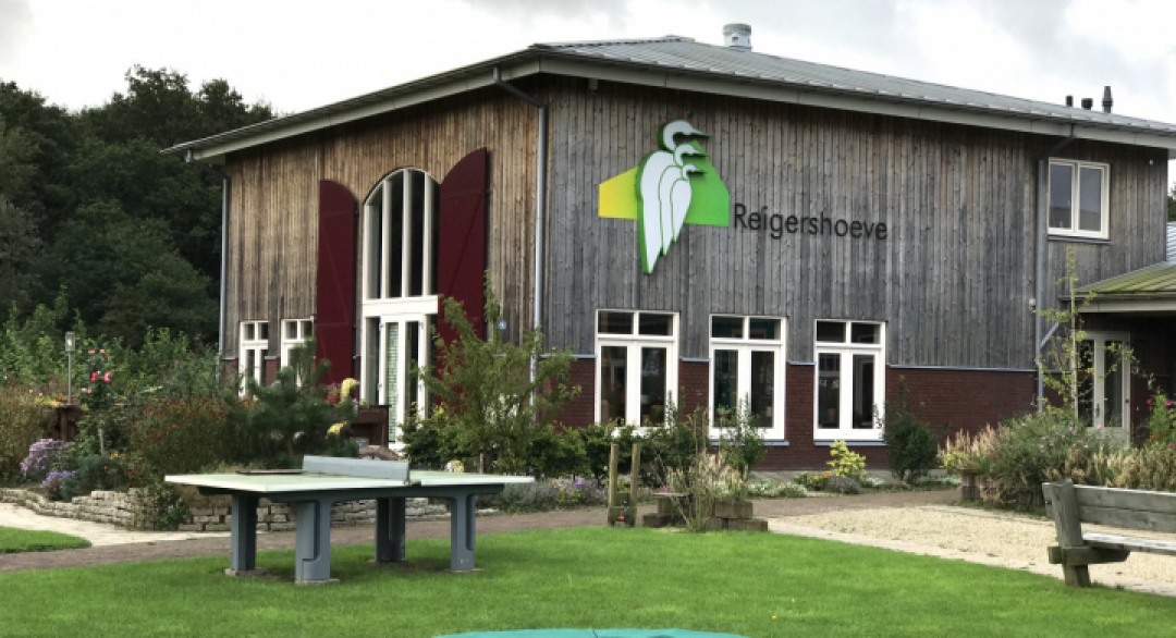 走進日本與荷蘭的失智農場：讓失智症患者活出意義和尊嚴