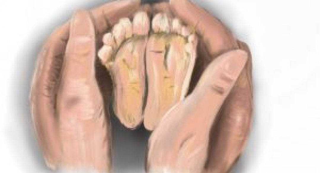 ｜招生中｜AMS – IT證照班