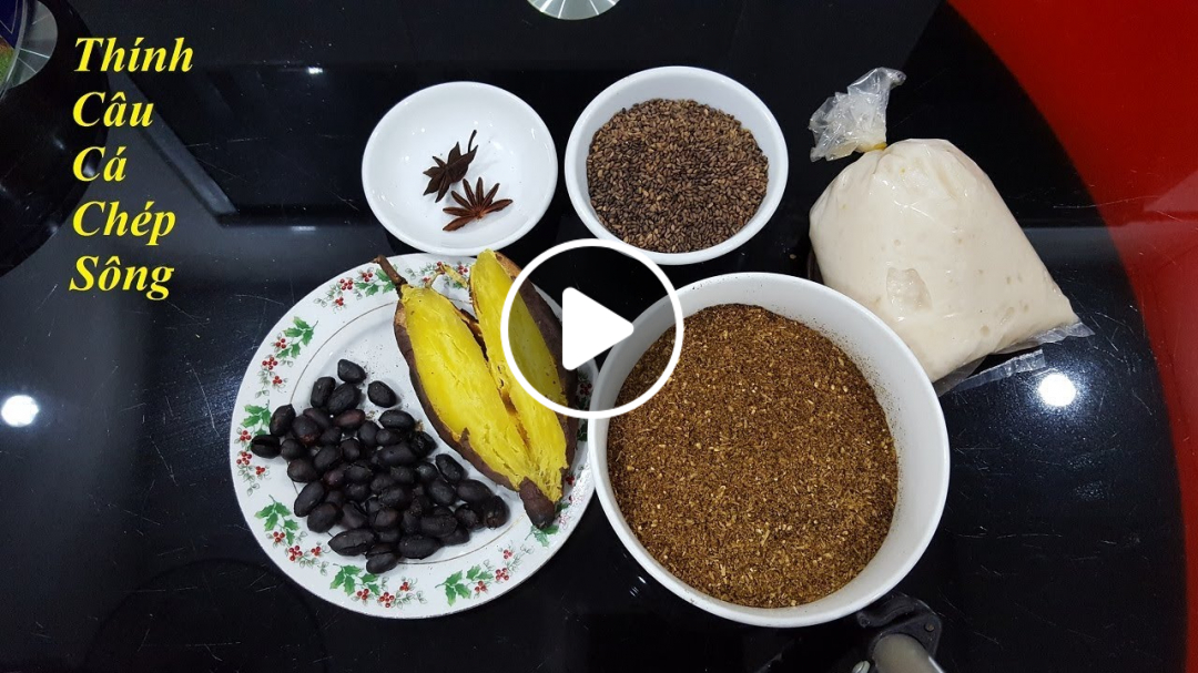 Cách làm mồi câu cá chép sông, cá diếc cực đơn giản hiệu quả